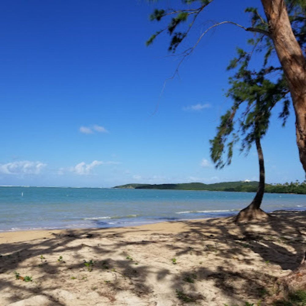 Meet your Posher, Carolina